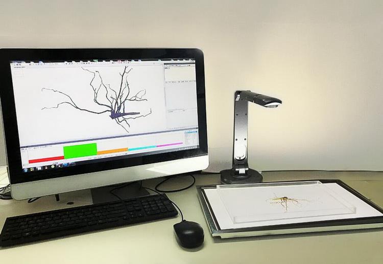 LA-S根系分析儀根系分析系統(tǒng)拍照款