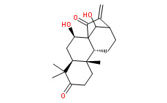 {79498-31-0r