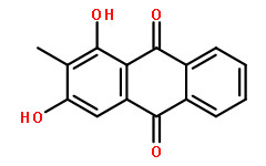 ׻117-02-2f