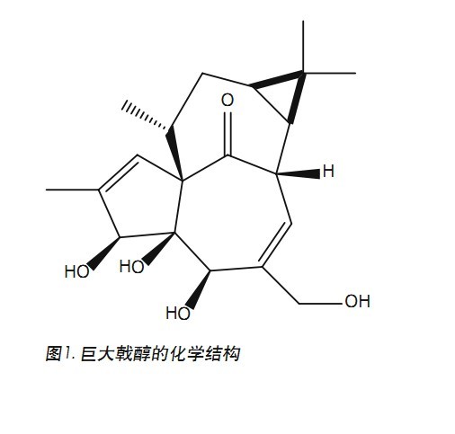 D1.޴ꪴW(xu)Y(ji)(gu)