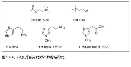 CORTECS UPLC HILICɫV_(ki)l(f)һN܉?q)XҺ(CSF)đAMxa(chn)ͬr(sh)M(jn)жUPLC/MS/MSy(c)