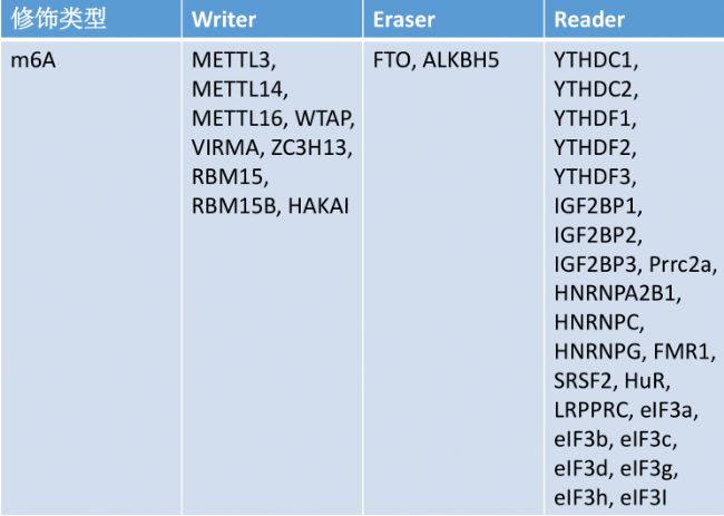 m6A PCR оƬб34 (g)-human