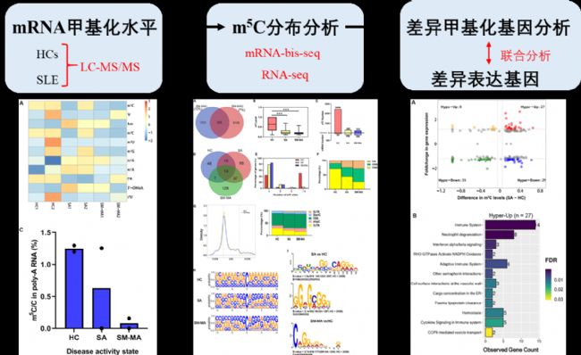 ϵy(tng)ԼtǯCD4+ T(x)mRNA m5C׻c(dng)P(gun)ĸ׃