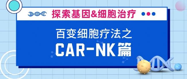 CAR-NK(x)Ԯ܊ͻ