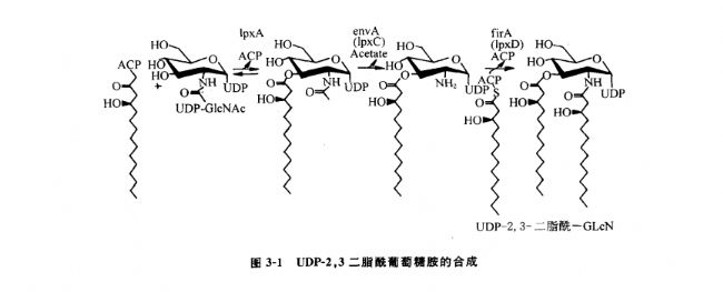 Lipid AϳɺzW