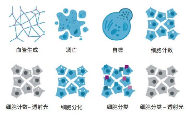 成像系統(tǒng)