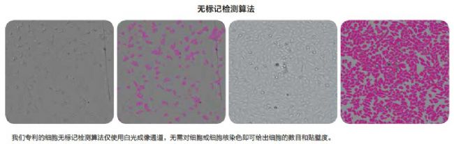 細胞成像系統(tǒng)