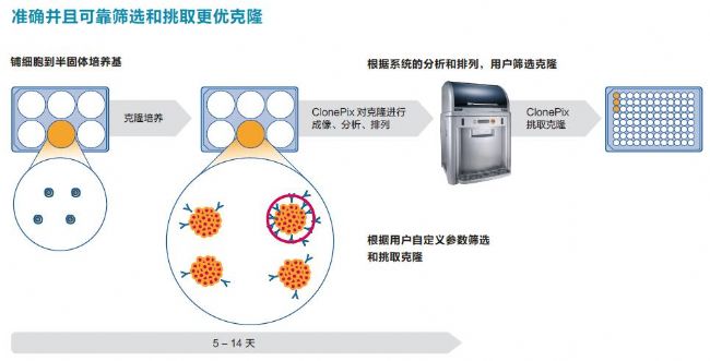 細(xì)胞克隆篩選系統(tǒng)