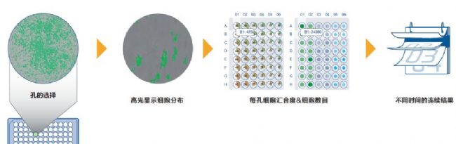 細(xì)胞生長分析