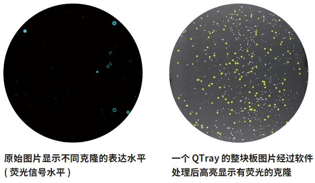 微生物篩選系統(tǒng)