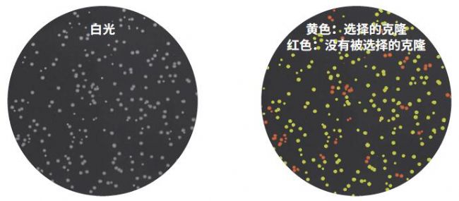 微生物篩選系統(tǒng)