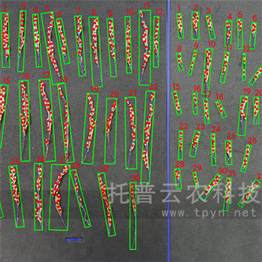 稻谷穗形粒數(shù)考種儀