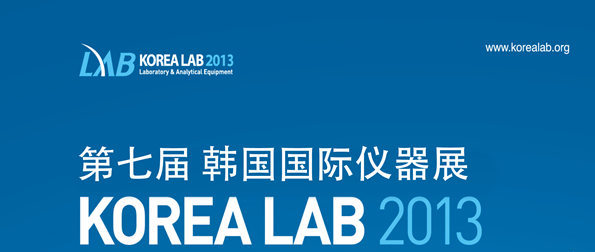 ߌnHxչKOREA LAB 2013