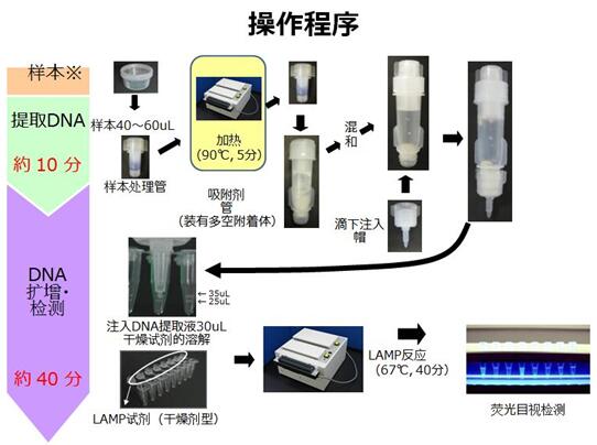 l(wi)MWHOٷʽ]h(hun)錧(do)Ȝ?ci)U(ku)TB-LAMPY(ji)˲\a(chn)Ʒ