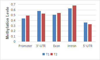 4. eccDNA׻ˮƽy(tng)Ӌ